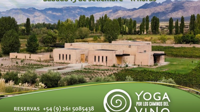 A Bodegas Sur de Los Andes llega "Yoga por los Caminos del Vino"